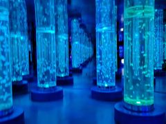 -梦幻海洋王国(吾悦广场张家港店)