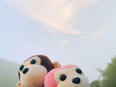 -四明山国家森林公园