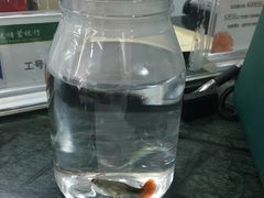 -中国邮政储蓄银行(松江区支行)