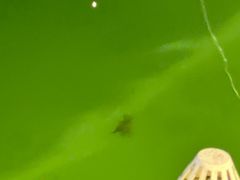 -DGE季风钓虾营地·团建·聚会