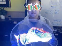 -神奇科学家STEAM科学实验科创赛事机器人编程逻辑思维MadScience(长宁来福士校区)