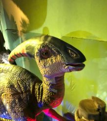 -恐龙探索乐园(磁器口店)