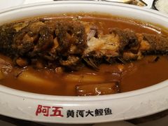 -阿五黄河大鲤鱼(纬三路店)
