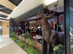 -新白鹿餐厅(百联中环店)