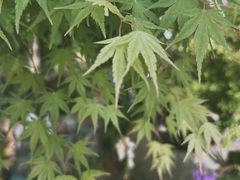 -三仟津花园咖啡馆