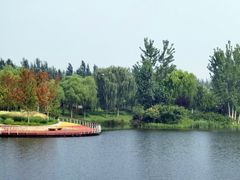 -东郊湿地公园