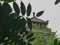 -老张烤羊(王哥庄店)