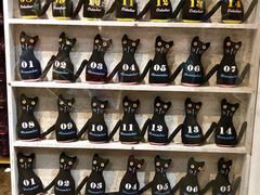 -猫咪博物馆(顶澳仔猫街店)