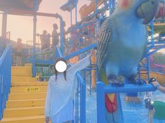 -苏州乐园森林水世界