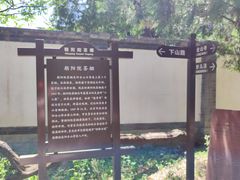 -阳台山自然风景区