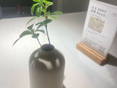 -春树下·树屋花房西餐厅(罍街AS1980店)