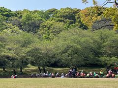 -苏州上方山国家森林公园