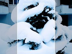 -瑞士英格堡小镇