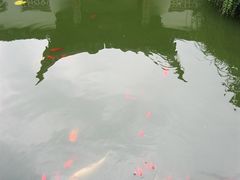 IMG_1642-吴门人家·苏宴宫廷菜(拙政园店)