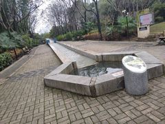 景点-苏州河梦清园环保主题公园