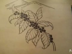-阿甘龙虾·重庆麻麻鱼(中豪店)