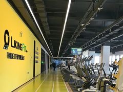 -Liking健身(哈尔滨旗舰店)