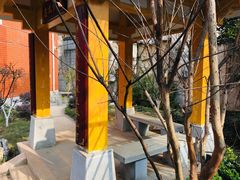 -武汉市洪山区卓刀泉小学