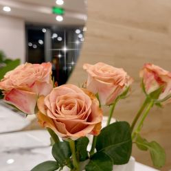 -酉嘉瑜伽YO+YOGA