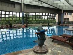 泳池-杭州君悦酒店