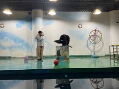-嘉兴海底世界