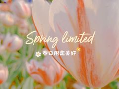 -陕西省西安植物园