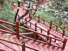 -大岭沟猕猴桃谷风景区