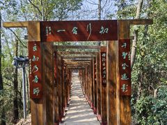 -云碧峰国家森林公园