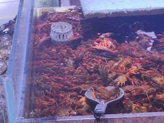 -聚盛源蒸汽海鲜火锅烤肉自助(巨川金海岸购物广场店)