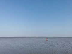 -南汇嘴观海公园