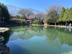 -崇圣寺三塔文化旅游区