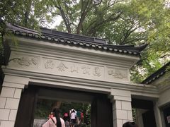 -上海佘山国家森林公园西佘山园