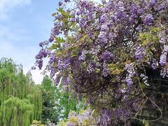 -西南交通大学(九里校区)