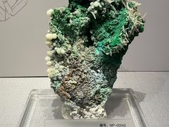 -湖南省地质博物馆