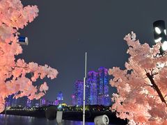 -武汉两江游览·夜游长江(汉口粤汉码头)
