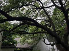 -虎跑公园