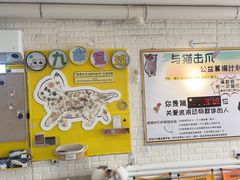 -平行世界·猫咖(首经贸店)
