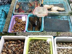 -霞涌市场海鲜摆卖区