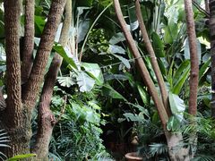 -稷泽·海丽宾雅温泉度假酒店