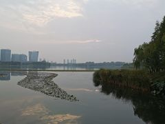 -暨阳湖生态园