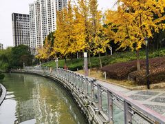 -苏州河梦清园环保主题公园