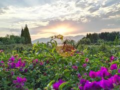 -正宗老字号万州烤鱼(怡福路店)