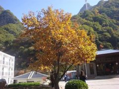 -少华山国家森林公园