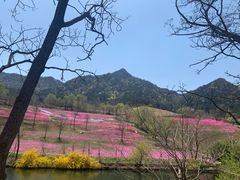 -昆嵛山石门里景区