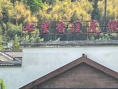 -藏龙百瀑风景区