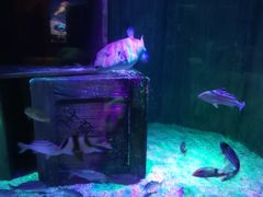 -沈阳海洋探索中心