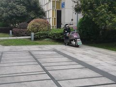 -栗酥饼(南长街店)