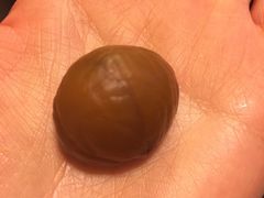 -秋栗香(地安门店)