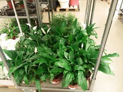 -中影国际影城(芜湖镜湖联盛店)