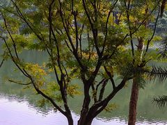 -缙云山景区